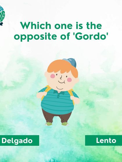 Let's learn Spanish opposites. What is the opposite of 'gordo' (fat)? Is it 'delgado' or 'lento'?
