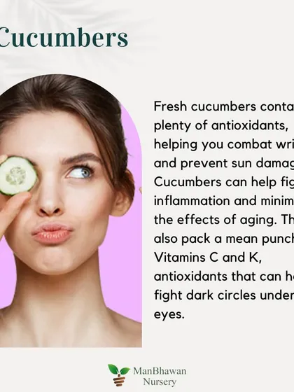 Skincare Plant 2: Cucumbers. Fresh cucumbers contain antioxidants that help combat wrinkles and prevent sun damage. They can also help fight dark circles under your eyes.