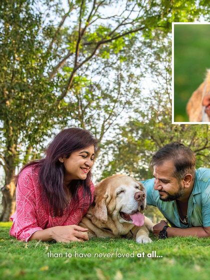 Pawparazzi By Prathima - Pet Milestone Photography Senior Tributes & Golden Years photo 29