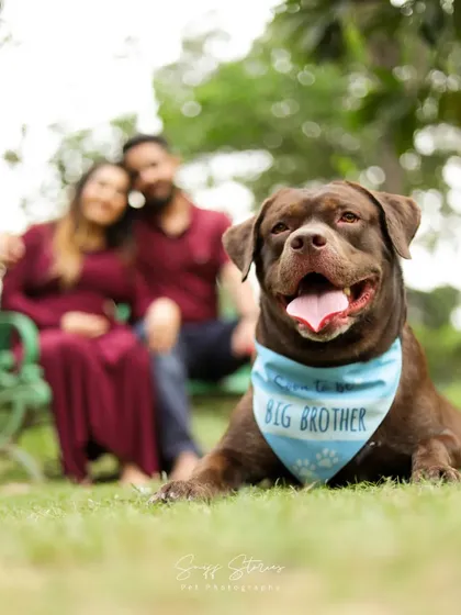 Welcoming a new baby is a journey for the whole family, including your first furry child. I specialize in maternity sessions that honor your pet's role as the original baby and soon-to-be big brother, capturing the anticipation and love that fills your home.