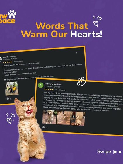 PawSpace - Pet Boarding & Sitting Hear From Our Pet Parents photo 5