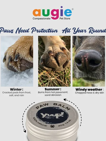Your pet's paws go through a lot, from hot pavement in the summer to cold, frosty ground in the winter. This Yuup! Paw Balm is a 100% natural solution I trust to protect and heal cracked paws and dry noses. It's a must-have for keeping your furry friend comfortable all year round.