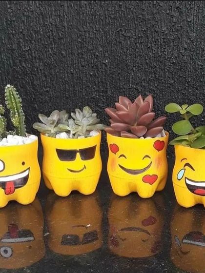 Bangalore Gardens - Vertical & Rooftop Gardening Creative & Upcycled Planters photo 5