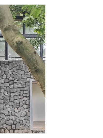 A tree trunk grows alongside the stone wall of the 'House in a Grove'. The design makes way for nature, embracing existing trees as part of the architecture.