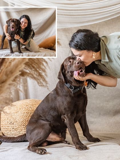 A collage from a home studio session with Tofu the chocolate Labrador. The images show the playful and affectionate interactions between Tofu and his mom.