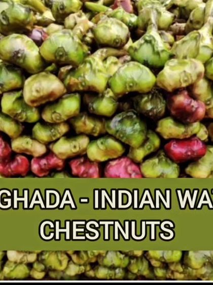 Neha Bhardwaj - Clinical Nutrition for Disease Management Food as Medicine: Know Your Ingredients photo 13