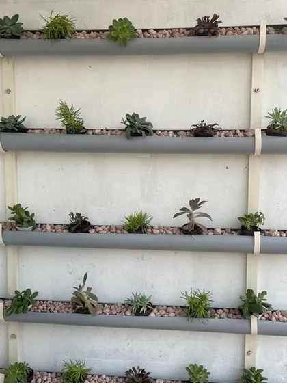 This is an example of a DIY-style hydroponic or succulent garden using horizontally mounted PVC pipes. It's a modern, industrial-chic way to display a collection of small plants with minimal space requirements.