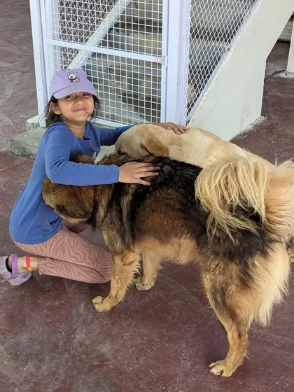 A pile of happy dogs. This is what pure joy and comfort look like at the VOSD sanctuary.
