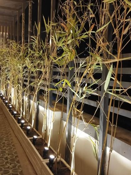 We used long planters with bamboo and uplighting to create a natural and elegant boundary for the restaurant's terrace.