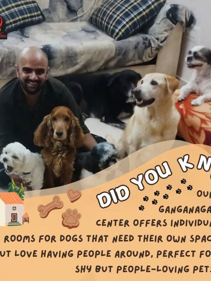 Anvis - Dog Boarding Personalized & Special Care photo 11