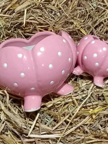 These pink polka-dotted, pumpkin-shaped ceramic planters are perfect for adding a soft, playful touch to your decor. They come in a set of two different sizes.