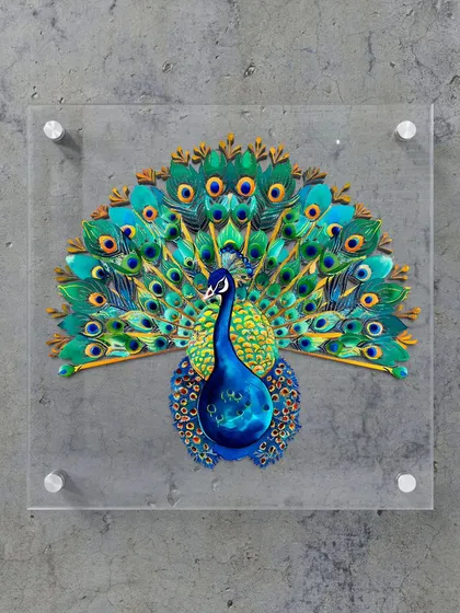 This image shows the finished peacock acrylic print mounted on a concrete wall. The contrast between the industrial texture of the wall and the elegant, glossy artwork creates a powerful and contemporary design statement.
