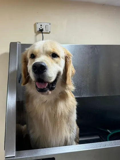 All smiles in the tub. We make bath time a positive experience with warm water and a gentle touch.