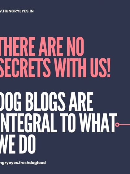 Hungry Eyes - Natural Pet Treats & Chews Our Food Philosophy photo 6