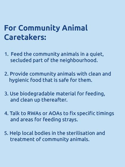 For community animal caretakers in Mumbai: the new guidelines state you should feed animals in a quiet area, use clean food, and help with local sterilization efforts.