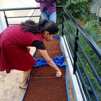 Multiplex Urban Green - Organic Gardening Supplies The Joy of Gardening: Our Community photo 5