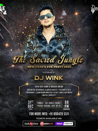 I am the DJ for Bangalore's biggest nights, including this massive New Year's Eve party at Pebble. Booking me means you're getting a DJ trusted to handle the most important celebrations of the year.