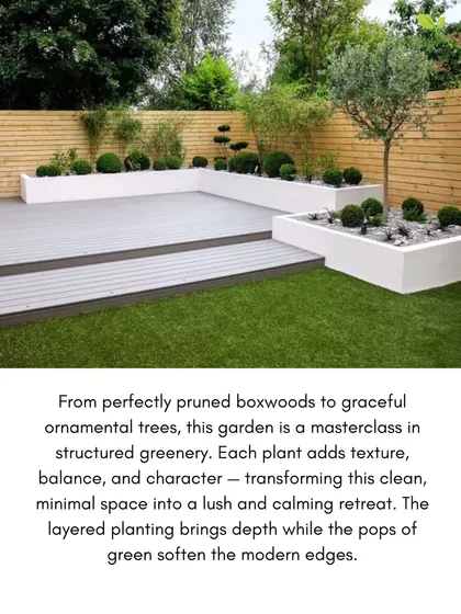This garden is a study in minimalist elegance. We designed this space using structured greenery, including perfectly pruned boxwoods and ornamental trees, to complement the modern architecture. The raised white planters and clean lines create a calm, sophisticated retreat.