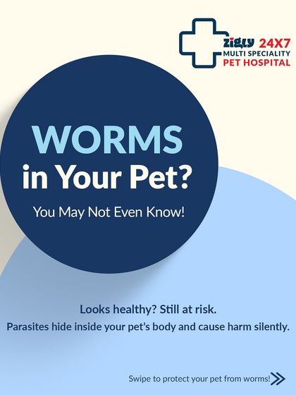 Zigly - Veterinary Services Preventive Care: A Lifetime of Health photo 4