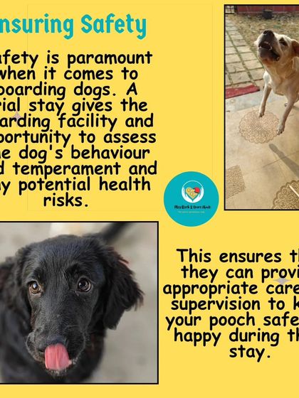 Poulomi Dhar - Dog Training & Behavior Consultation Why Trial Stays Are Essential photo 3