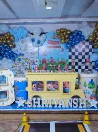 Themed Party Decorations