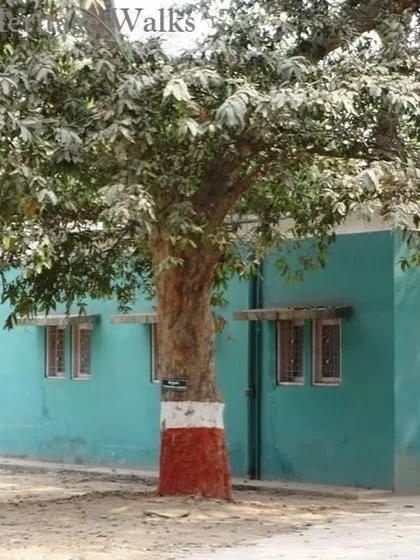 A quiet corner of the Indraprastha College campus. The college environment itself is a part of the heritage we explore.