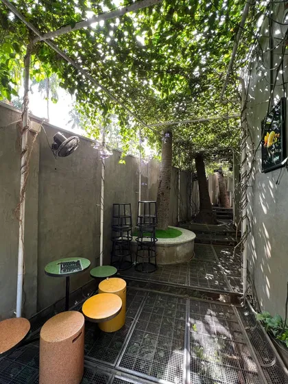 A view of the narrow courtyard at the Naturals cafe, where I used a combination of climbers and an existing tree to create a full green canopy. This shows how even tight, enclosed spaces can be transformed into lush gardens.