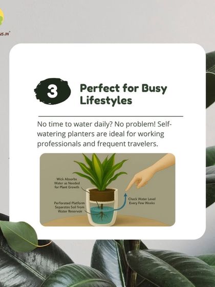 Treemendous - Interior & Exterior Plantscaping The Magic of Self-Watering Planters photo 6