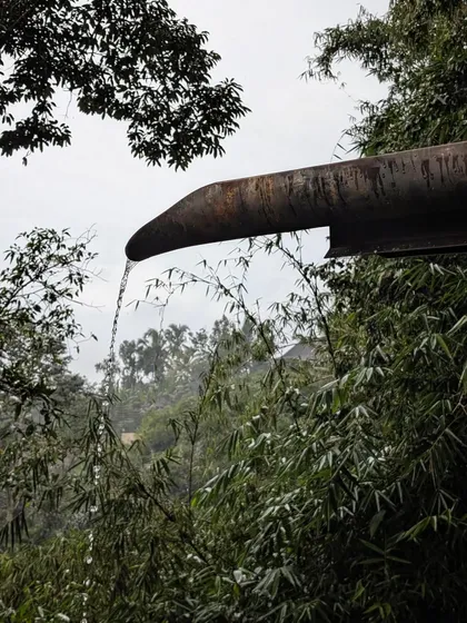 A custom-designed water spout, part of our Bali project, channels rainwater amidst the lush foliage. This detail exemplifies our approach of turning functional elements into moments of beauty.