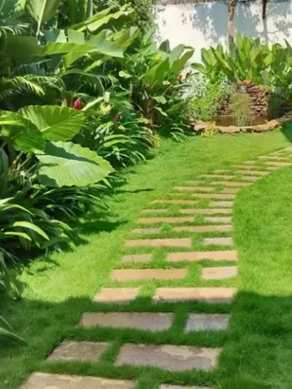 This image captures the feeling of a private oasis. The pathway meanders through a variety of plants with different leaf shapes and sizes, creating a rich, layered, and immersive green experience.