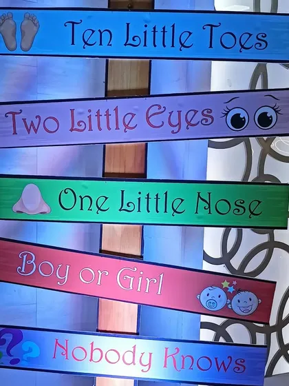 This fun and creative prop is perfect for a gender reveal or baby shower. The signs add a playful touch and are great for photos.