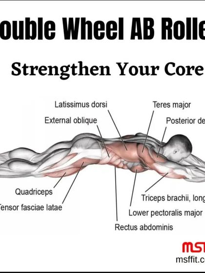 An infographic showing the various core and upper body muscles strengthened by the AB Roller.