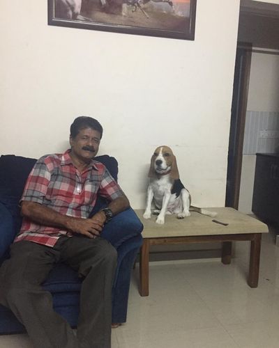Basic Obedience Training