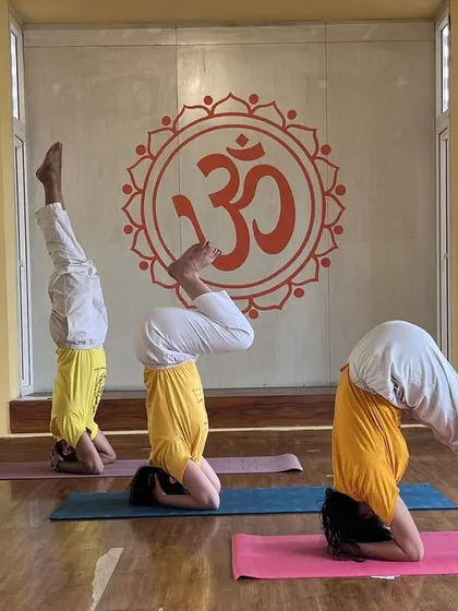 Students practicing different stages of Sirsasana, the headstand, in our yoga hall. Our workshops provide step-by-step guidance to safely build strength and confidence in this king of asanas.