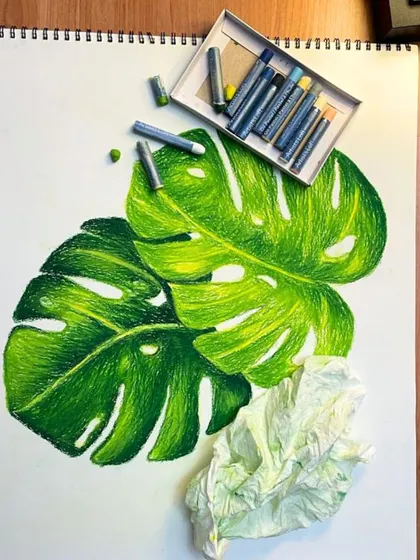 A completed drawing of Monstera leaves in oil pastels, showing a great understanding of light, shadow, and texture.