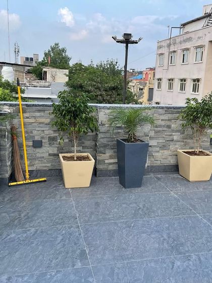 Terrace & Rooftop Gardens photo 13