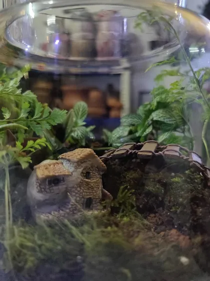 It's all in the details. This participant added a charming miniature stone house to their terrarium, creating a tiny, whimsical landscape that tells a story.