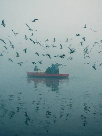 This shot was taken during a foggy morning on the Yamuna Ghat. For me, this image is all about the mood. The single red boat surrounded by birds in the mist creates a quiet, almost painterly scene that tells a story of Delhi's serene side.