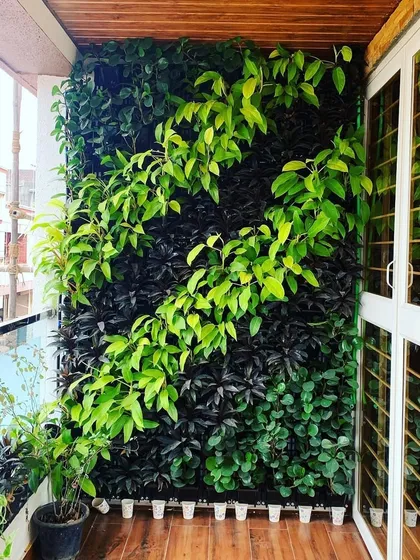A dynamic diagonal pattern created with contrasting light and dark foliage on a residential balcony. This design proves that even in a small space, a vertical garden can become a stunning and unique piece of living art.