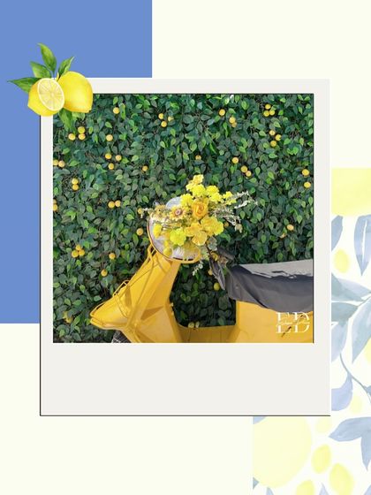 A creative graphic showcasing a yellow scooter against a lemon tree wall, presented as a polaroid. This captures the fun, retro, and summery vibe of the Positano theme.
