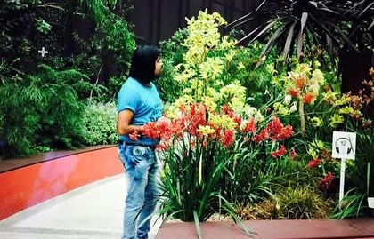 Ratnashri Landscapers - Large-Scale Event & Temporary Landscaping Global Sourcing & Inspiration photo 9