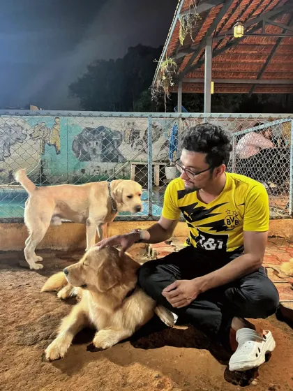 A visitor sits on the ground, petting a resting Golden Retriever while a Labrador looks on.