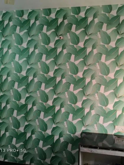 Ansari - Wallpaper & Mural Installation Nature & Floral Designs photo 38