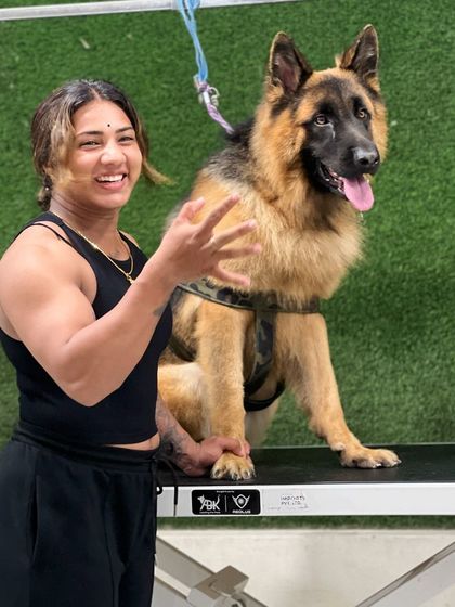 Pets Forever - De-shedding Treatment German Shepherd Transformations photo 5