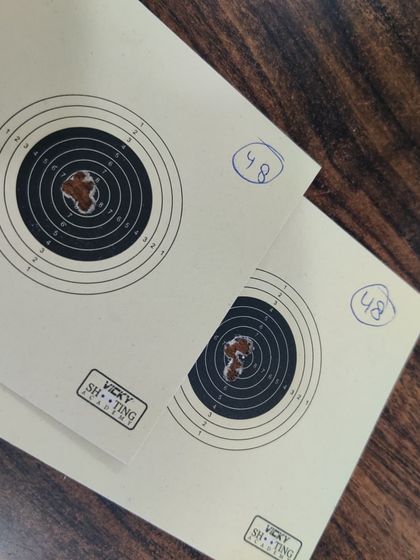 The Pursuit of Perfection: Practice Scores photo 17