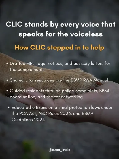 Cupa - Animal Cruelty Legal Aid & Advocacy Our Legal Fight for Animals photo 13