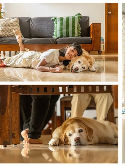 A collage showing the sweet, everyday life of a girl and her senior dog. Lying on the floor together or resting under the dining table, these photos capture the quiet companionship that makes a house a home.