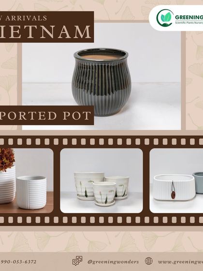 Greening Wonders - Garden Center & Plant Nursery Decorative & Premium Pots photo 6