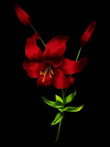 A vibrant red lily blooming in the darkness. This digital painting is a symbol of resilience, a reminder that it's possible to bloom even when darkness engulfs you.