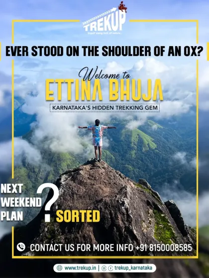 A striking image of a trekker on the summit of Ettina Bhuja, standing above a sea of clouds. This is the "Ox Shoulder" peak.